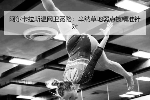 a-er-ka-la-si-wen-wang-wei-mian-lu-xin-na-cao-di-ruo-dian-bei-jing-zhun-zhen-dui-2-275.jpg