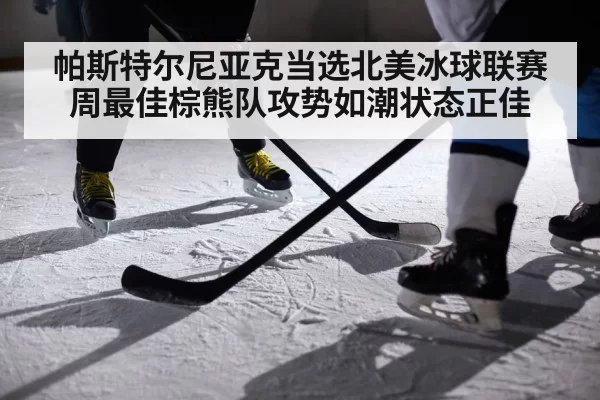 帕斯特尔尼亚克当选北美冰球联赛周最佳棕熊队攻势如潮状态正佳