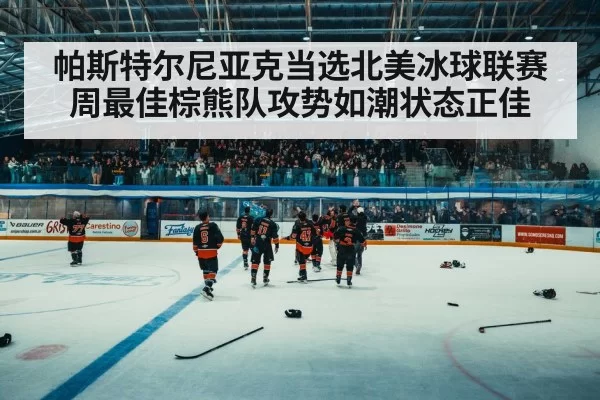 hockey arena crowd
